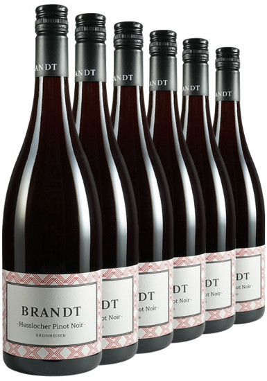 Hesslocher Pinot Noir-Paket // Weingut Brandt