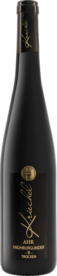 2023 Ahr-Frühburgunder -B- trocken - Weingut Kriechel