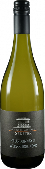 2025 Chardonnay & Weißburgunder Cuvée trocken - Weingut Senfter