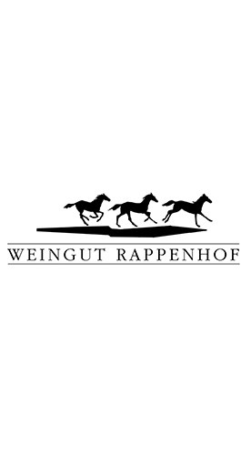 2022 Oppenheim Riesling VDP.Ortswein trocken - Weingut Rappenhof