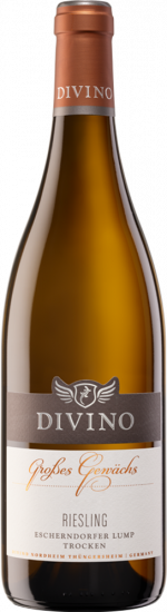 2023 DIVINO Großes Gewächs Escherndorfer Lump Riesling trocken - Divino eG