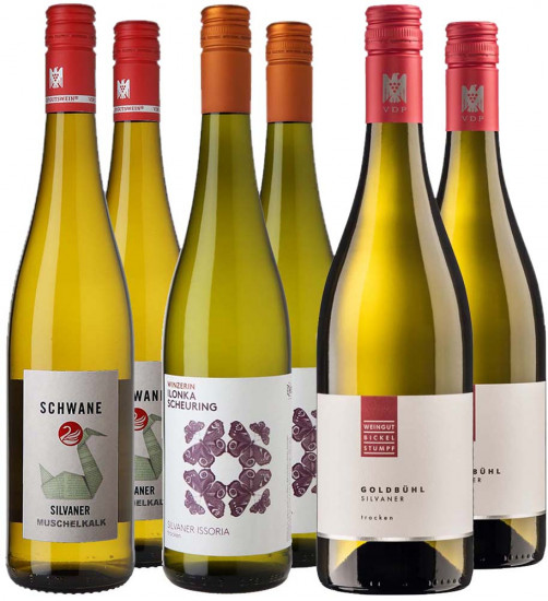 Silvaner Premium-Paket 