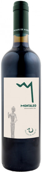 2023 Montaleo Montescudaio DOC trocken Bio - Pagani de Marchi