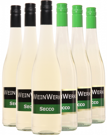 Terrassenmoment-Duo - Secco Rivaner + Silvaner - WeinWerk A. Tully