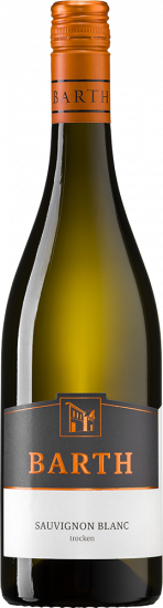 2025 Sauvignon Blanc trocken - Weingut Holger Barth