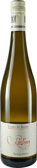 2024 Riesling VDP.GUTSWEIN trocken Bio - Weingut Brüder Dr. Becker