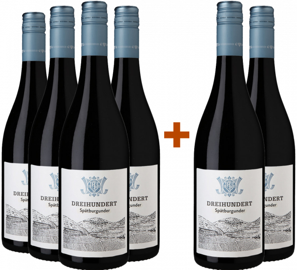 4+2 Paket Dreihundert Spätburgunder - Weingut Hahn Pahlke