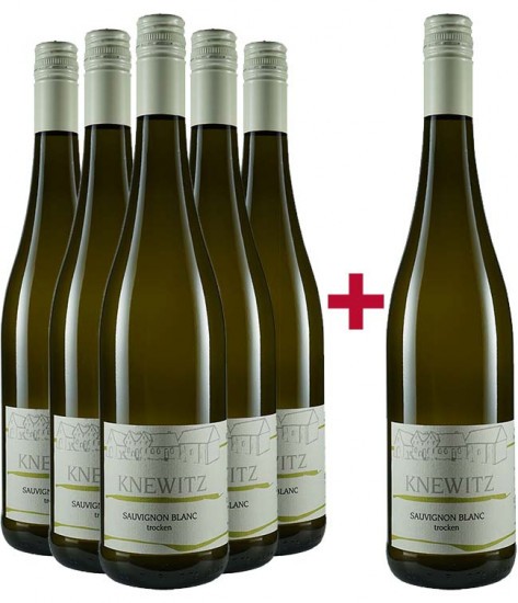 5+1 Paket Sauvignon Blanc trocken - Weingut Zehnthof Knewitz
