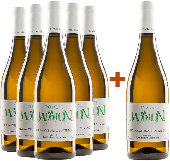 5+1 Paket Ribona Colli Maceratesi DOC Bio - Podere Sabbioni