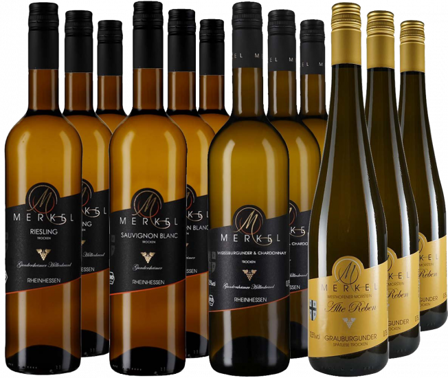 Großes Weißweinpaket BIO - Weingut Burgunderhof Merkel