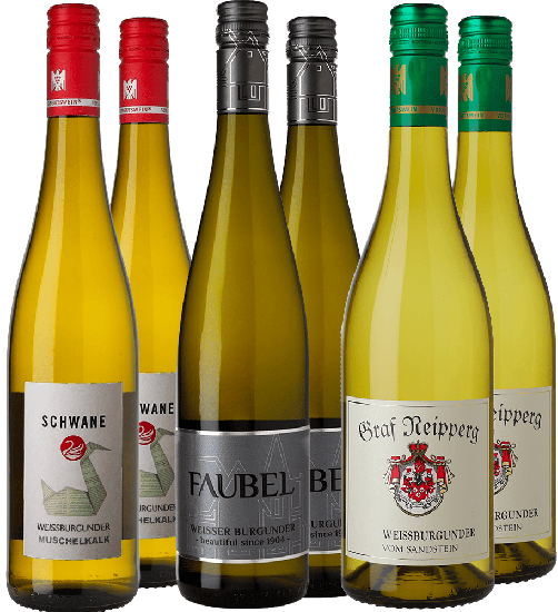 Weißburgunder Premium-Paket - WirWinzer Select