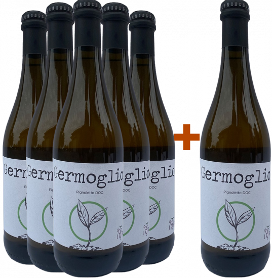 5+1 Paket Germoglio Pignoletto DOC - Iori Emanuele