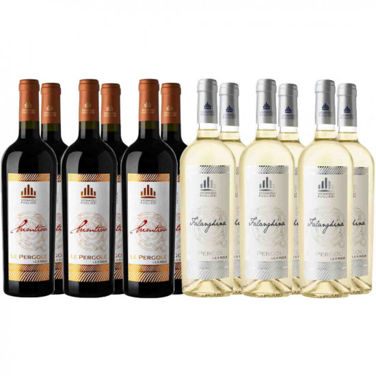 Vignaioli Pugliesi Kennenlern-Paket - Vignaioli Pugliesi