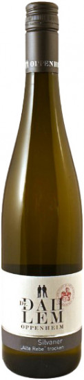2024 Dienheimer Tafelstein Silvaner Alte Rebe trocken - Weingut Dr. Dahlem