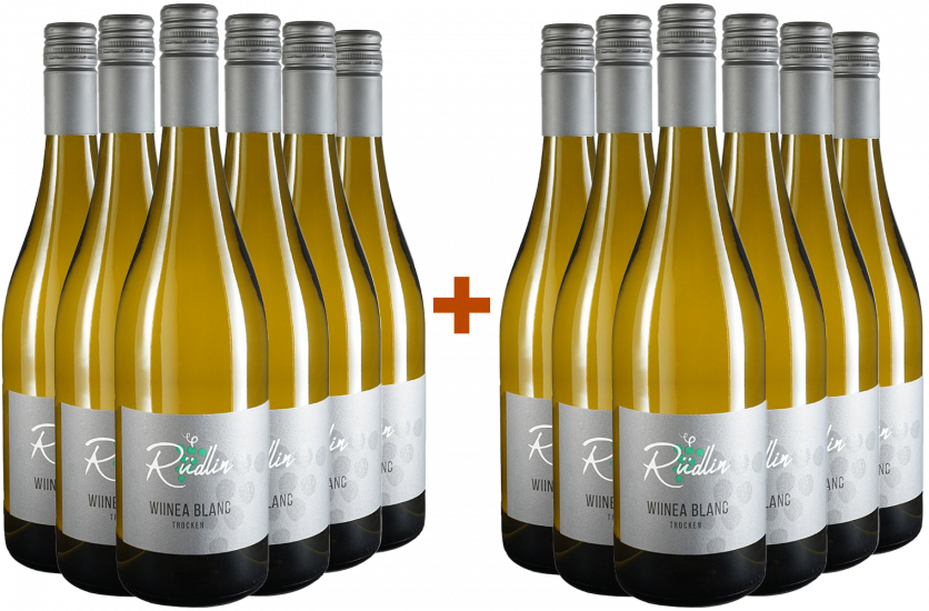 6+6  Paket 2022 WIINEA Blanc, FundamenT trocken - Wein- und Obsthof Rüdlin