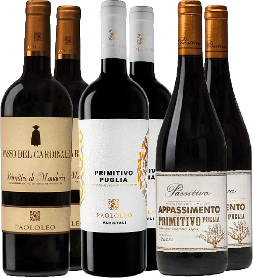 Cantine Paololeo Primitivo Kennenlern-Paket - Cantine Paololeo