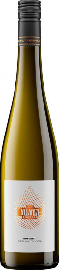 2023 Auftakt | Riesling Lagenwein trocken - Weingut Jung Dahlen