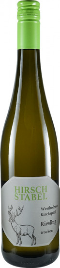 2024 Riesling trocken - Weingut Hirsch-Stabel