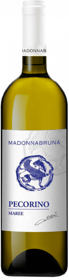 2024 Maree Falerio Pecorino DOC trocken - Madonnabruna