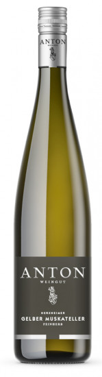 2025 Gelber Muskateller feinherb - Weingut Anton