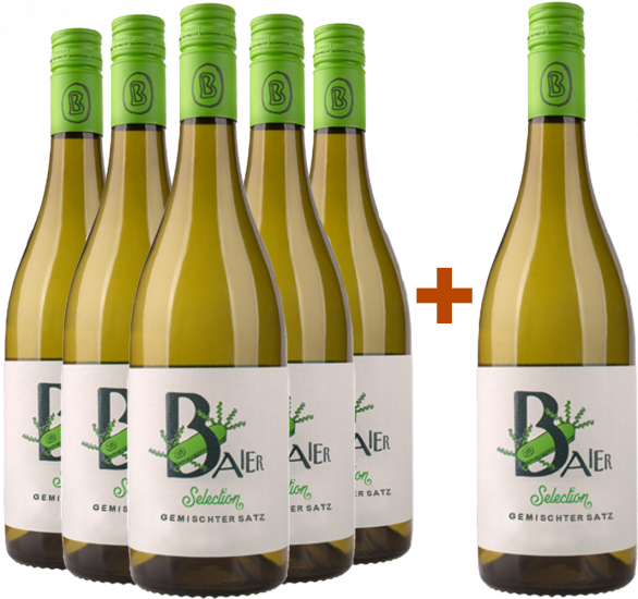 5+1 Paket Gemischter Satz Kalkspaß tocken Bio - Weingut Baier