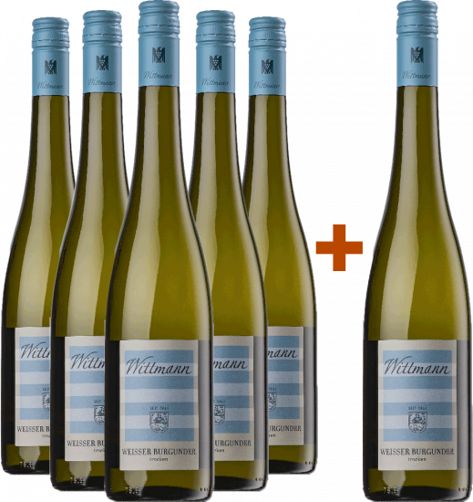 5+1 Paket Weißer Burgunder trocken BIO Bio - Weingut Wittmann