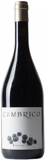 2012 Cámbrico Tempranillo Sierra de Salamanca DOP trocken - Viñas del Cambrico