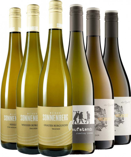 Pfalzwein Entdecker-Paket - Weingut Sonnenberg Speeter