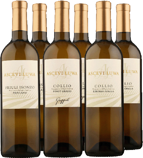 Weißweine Kennenlern-Paket - Ascevi Luwa