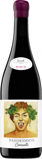 2019 Panorámico Caracuesta Rioja DOCa trocken - Vinos del Panorámico