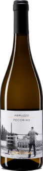 2024 Pecorino Abruzzo DOC trocken Bio - Azienda Agricola Contesa