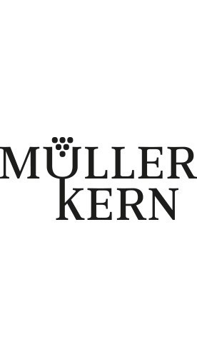 2023 Hambacher Schlossberg Grauburgunder JACOBUS trocken - Weingut Müller-Kern
