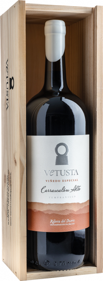 2018 Viñedo Especial Carrascalón Alto trocken - Bodegas Vetusta