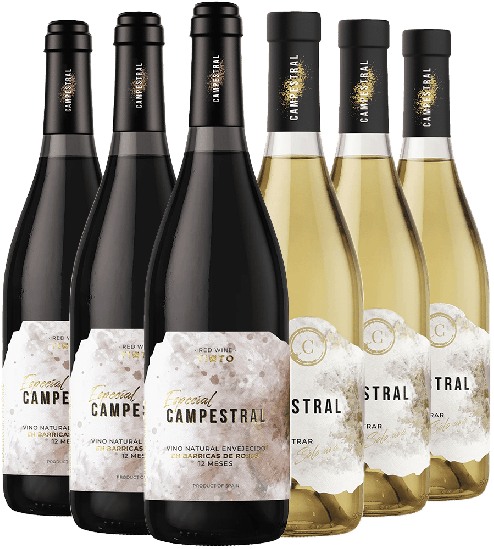 Kennenlernpaket Campestral Cádiz VT Bio - Bodegas Campestral