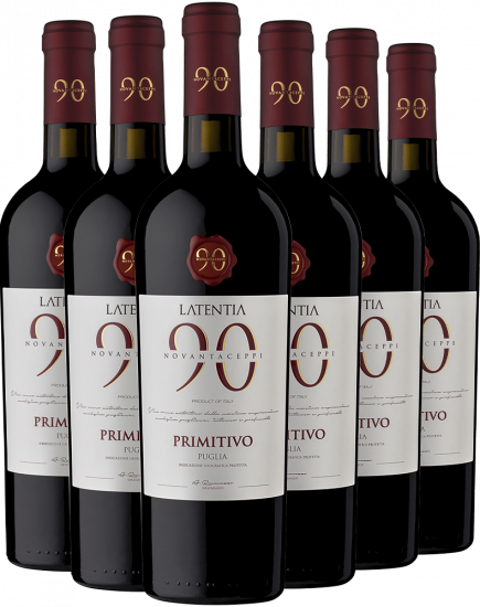 6er Novantaceppi Primitivo Puglia IGP - WirWinzer Select Teck