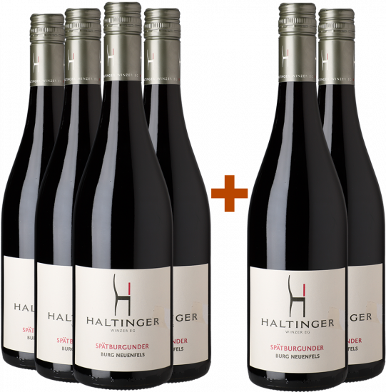 4+2 2023 Burg Neuenfels Spätburgunder - Haltinger Winzer eG
