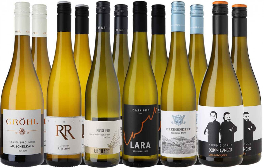 Großes Jungwinzer Kennenlern-Paket