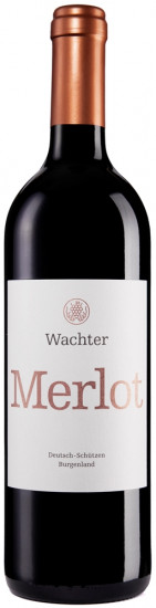 2021 Merlot trocken - Wachter Wein