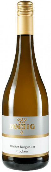 2024 Weißer Burgunder trocken - Weingut Jan Bollig