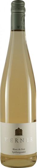 2024 Blanc de Noir, Spätburgunder, weiß gekeltert. - Weingut Werner