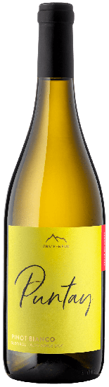 2020 Puntay Pinot Bianco Alto Adige DOC trocken - Erste+Neue