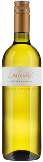 2025 Welschriesling trocken - Weingut Lentsch - Pinots vom Leithaberg