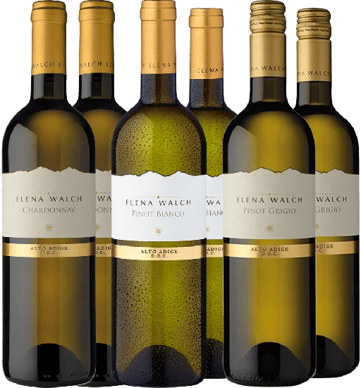 Elena Walch Weißwein-Paket - Elena Walch