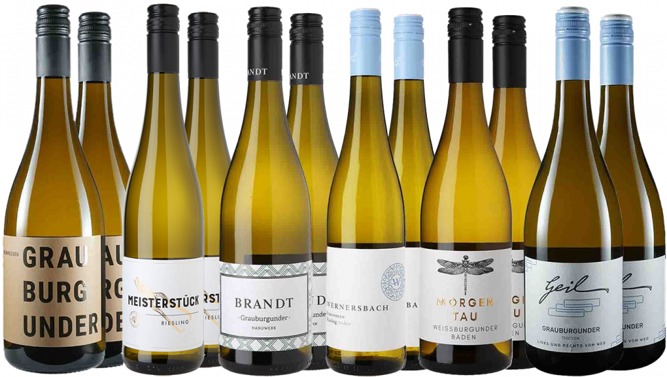 Großes Weißwein Entdecker-Paket