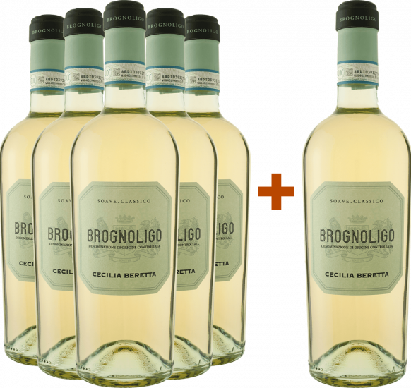 5+1 Paket Brognoligo Soave Classico DOC Bio - WirWinzer Select Teck