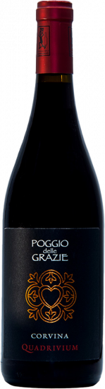 2020 Quadrivium Corvina Verona IGP Bio - Poggio delle Grazie