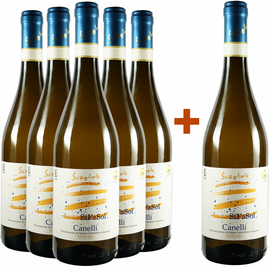 5+1 Paket Moscato SiFaSol Canelli DOCG - Scagliola Giacomo