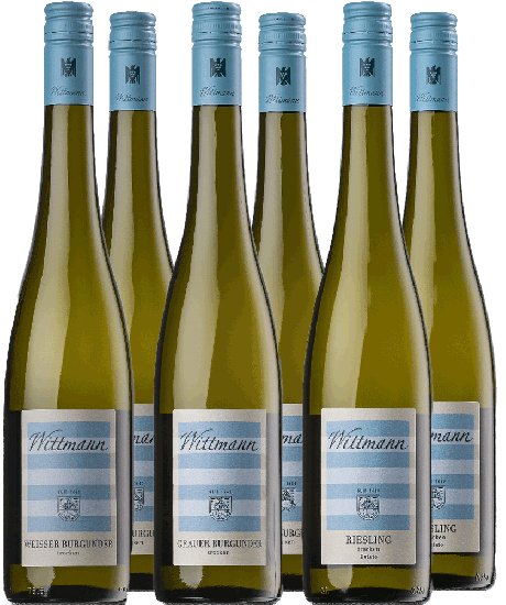 Weißwein-Paket trocken BIO Bio - Weingut Wittmann