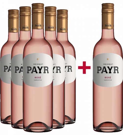 5+1 Paket Rosé ÖTW Gutswein trocken Bio Bio - Bio Weingut Robert Payr
