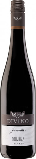 2023 Juventa Domina trocken - Divino eG